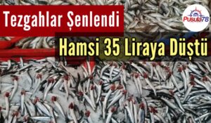 Tezgahlar Şenlendi Hamsi 35 Liraya Düştü