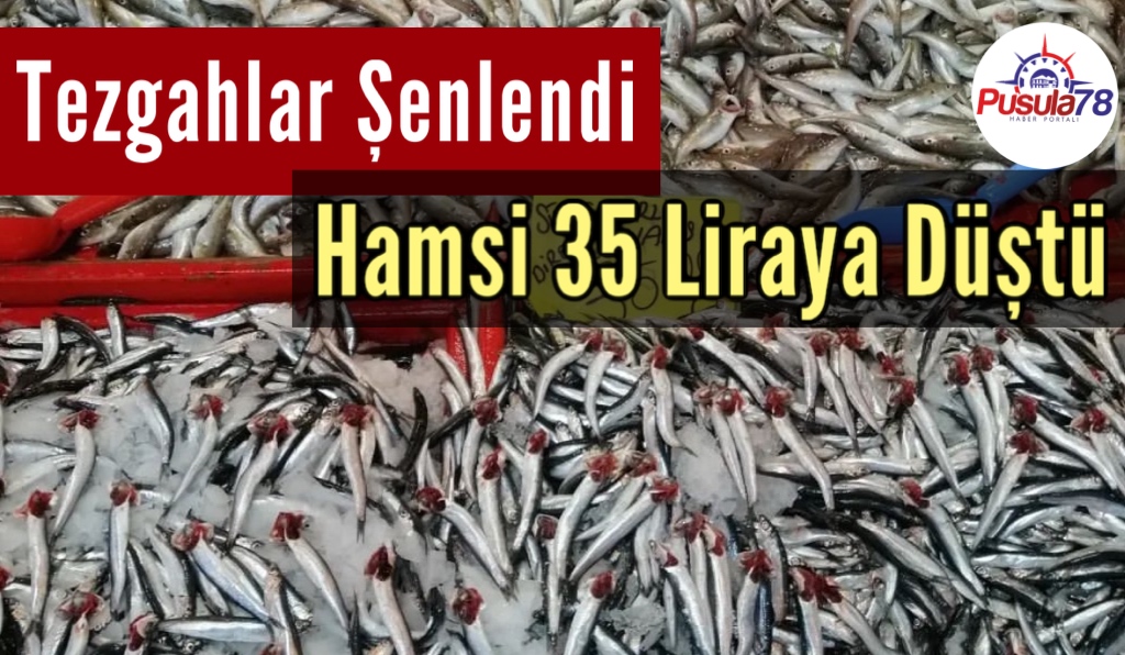 Tezgahlar Şenlendi Hamsi 35 Liraya Düştü
