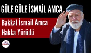 Güle Güle İsmail Amca