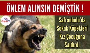 Safranbolu’da Sokak Köpekleri Kız Çocuğuna Saldırdı