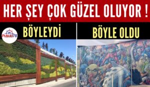 İstanbul’da Dikey Bahçelerin Yerine Yapılan Grafitiler Tepki Topluyor
