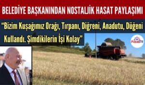 EFLANİ’DE HASAT DEVAM EDİYOR