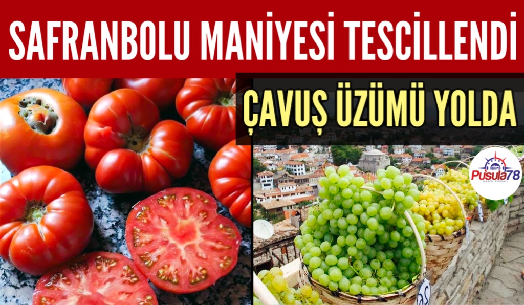 SAFRANBOLU MANİYESİ TESCİLLENDİ ÇAVUŞ ÜZÜMÜ YOLDA