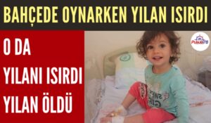 KENDİSİNİ ISIRAN YILANI ISIRDI