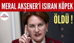 MERAL AKŞENER’İ ISIRAN KÖPEK ÖLDÜ !