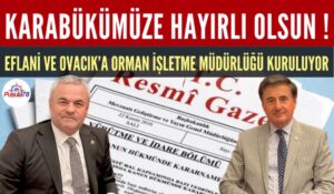 EFLANİ VE OVACIK’A ORMAN İŞLETME MÜDÜRLÜĞÜ KURULUYOR