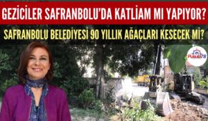 GEZİCİLER SAFRANBOLU’DA KATLİAM MI YAPIYOR?