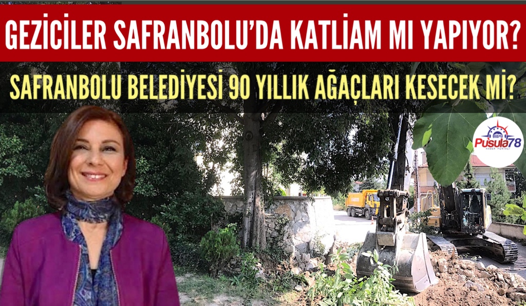 GEZİCİLER SAFRANBOLU’DA KATLİAM MI YAPIYOR?