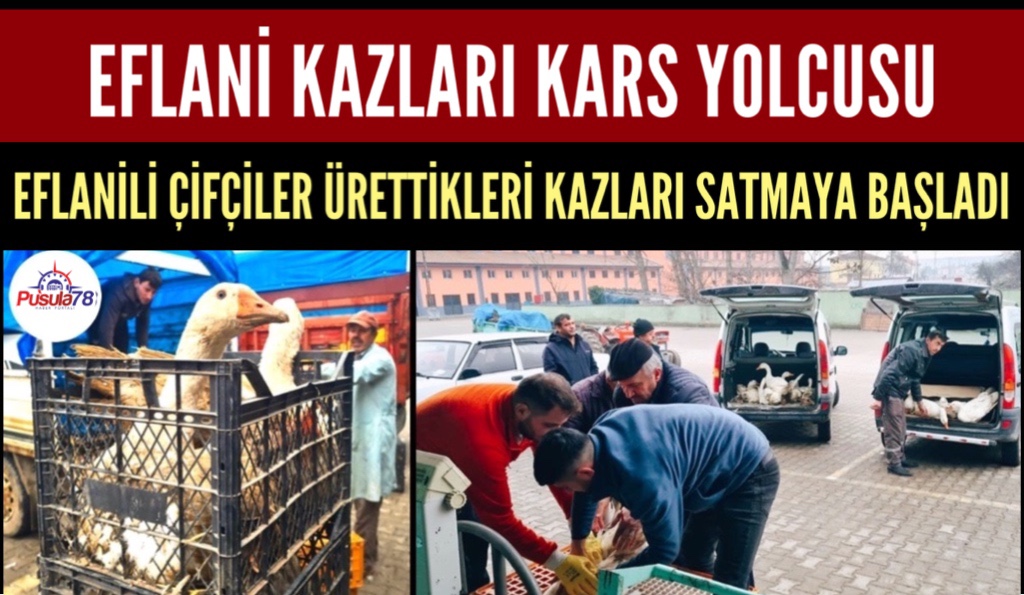 EFLANİ KAZLARI KARS YOLCUSU