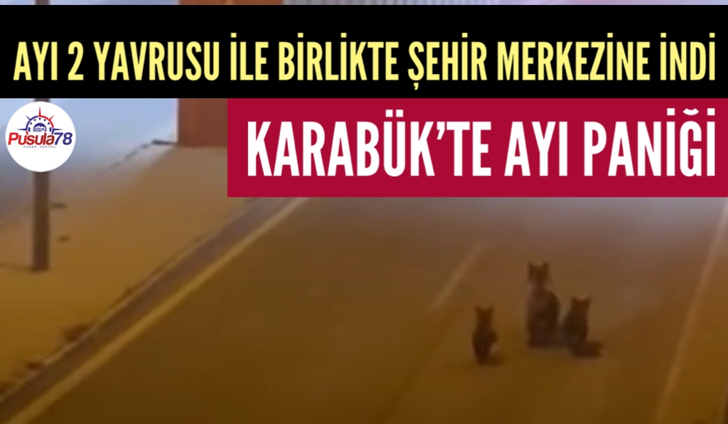 AYI VE YAVRULARI ŞEHİR MERKEZİNE İNDİ