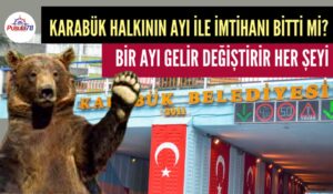 BİR AYI GELİR DEĞİŞTİRİR HER ŞEYİ