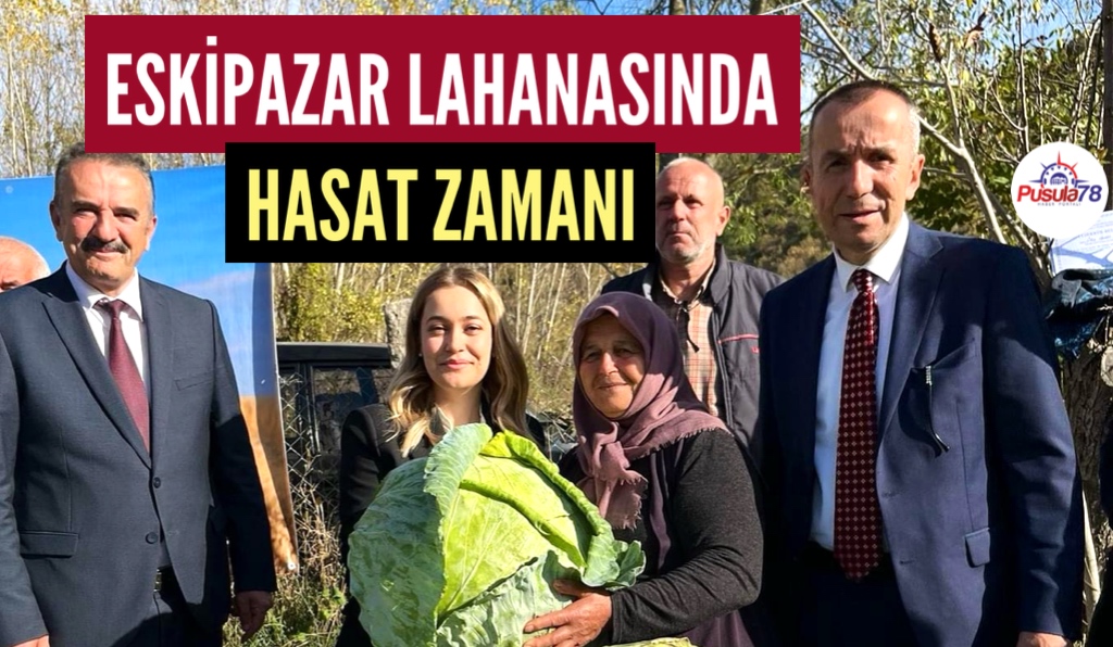 ESKİPAZAR’IN MEŞHUR KELEMİNDE HASAT ZAMANI