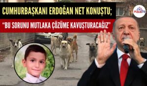 ERDOĞAN “SOKAK KÖPEKLERİ SORUNUNA MUTLAKA ÇÖZÜM BULACAĞIZ”