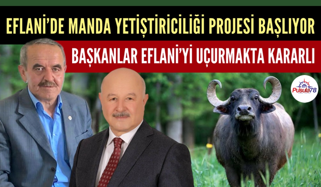 EFLANİ’DE MANDA YETİŞTİRİCİLİĞİ PROJESİ START ALDI