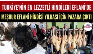 TÜRKİYE’NİN EN LEZZETLİ HİNDİSİ EFLANİ’DE